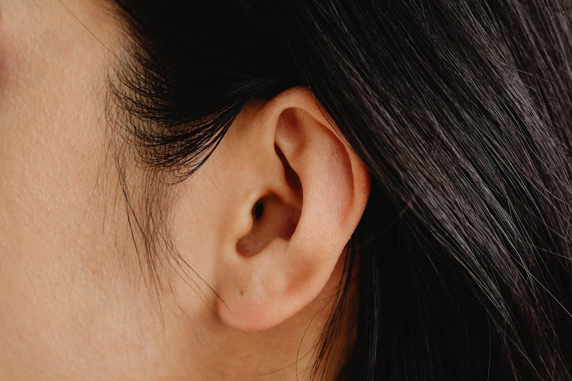 Crusty ears can be the cause of several other diseases (Image via Pexels/Karolina Grabowska)