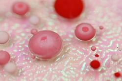 Good Cholesterol does more than protect your heart - Here's how to boost it naturally