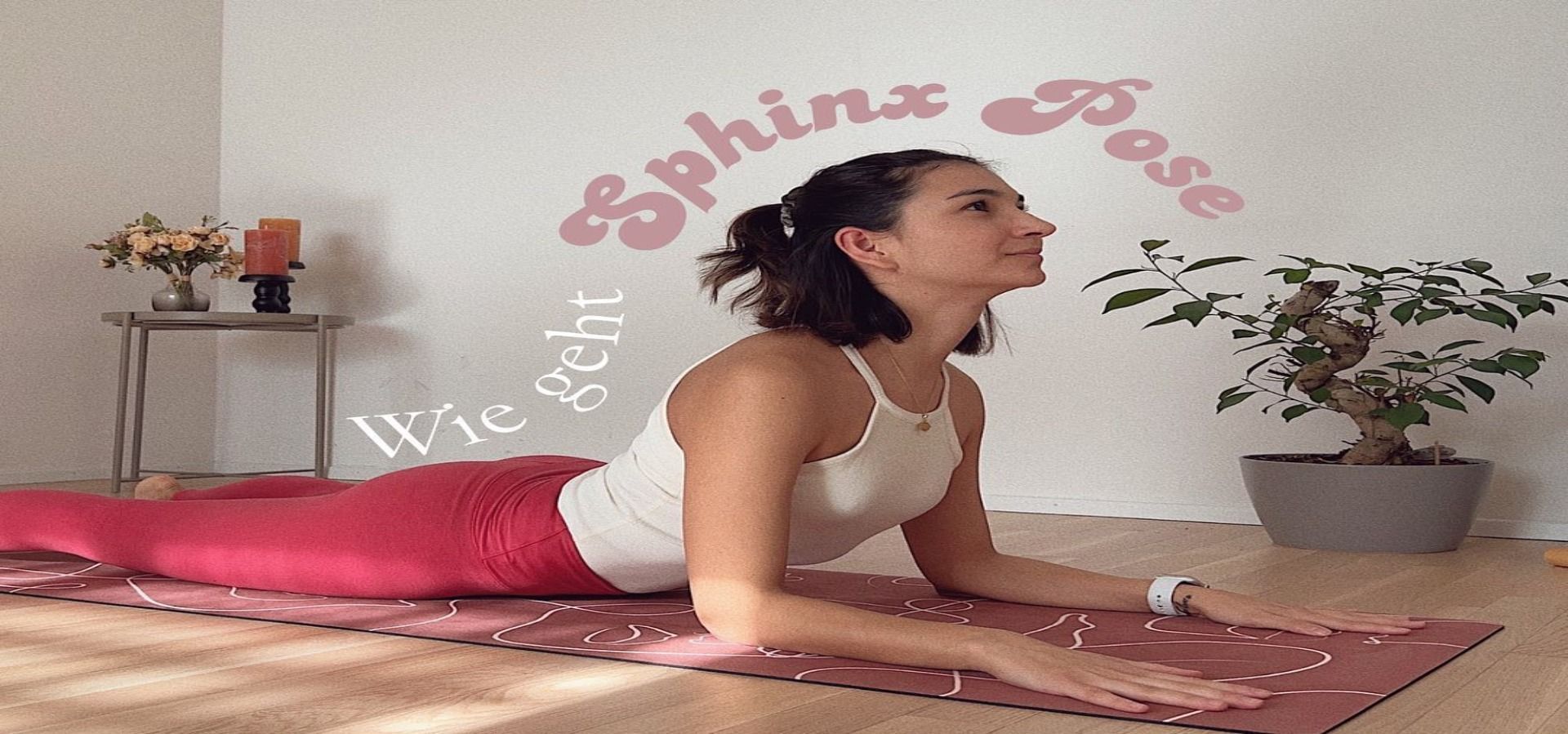 Sphinx Pose (Image by doctoryogapelin/Instagram)