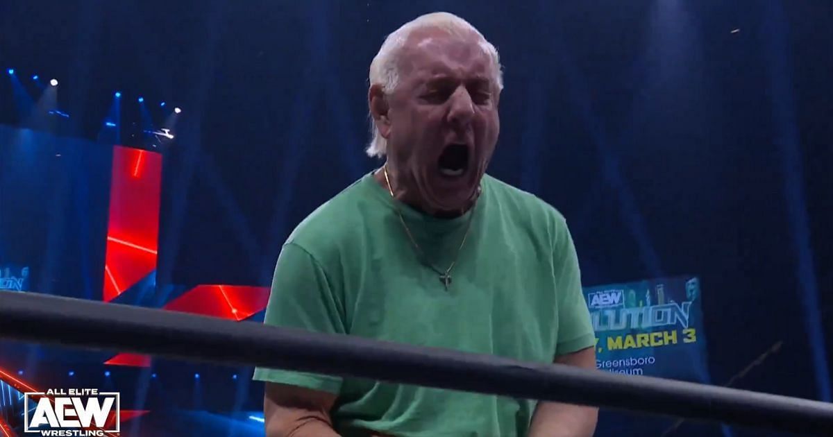 WWE Ric Flair