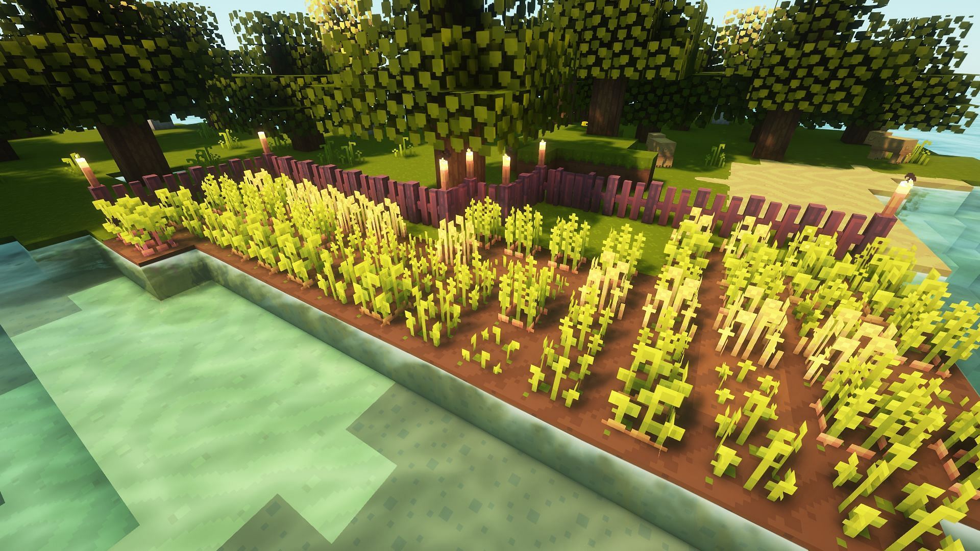 A coastal farm with the Dandelion X resource pack (Image via Mojang)