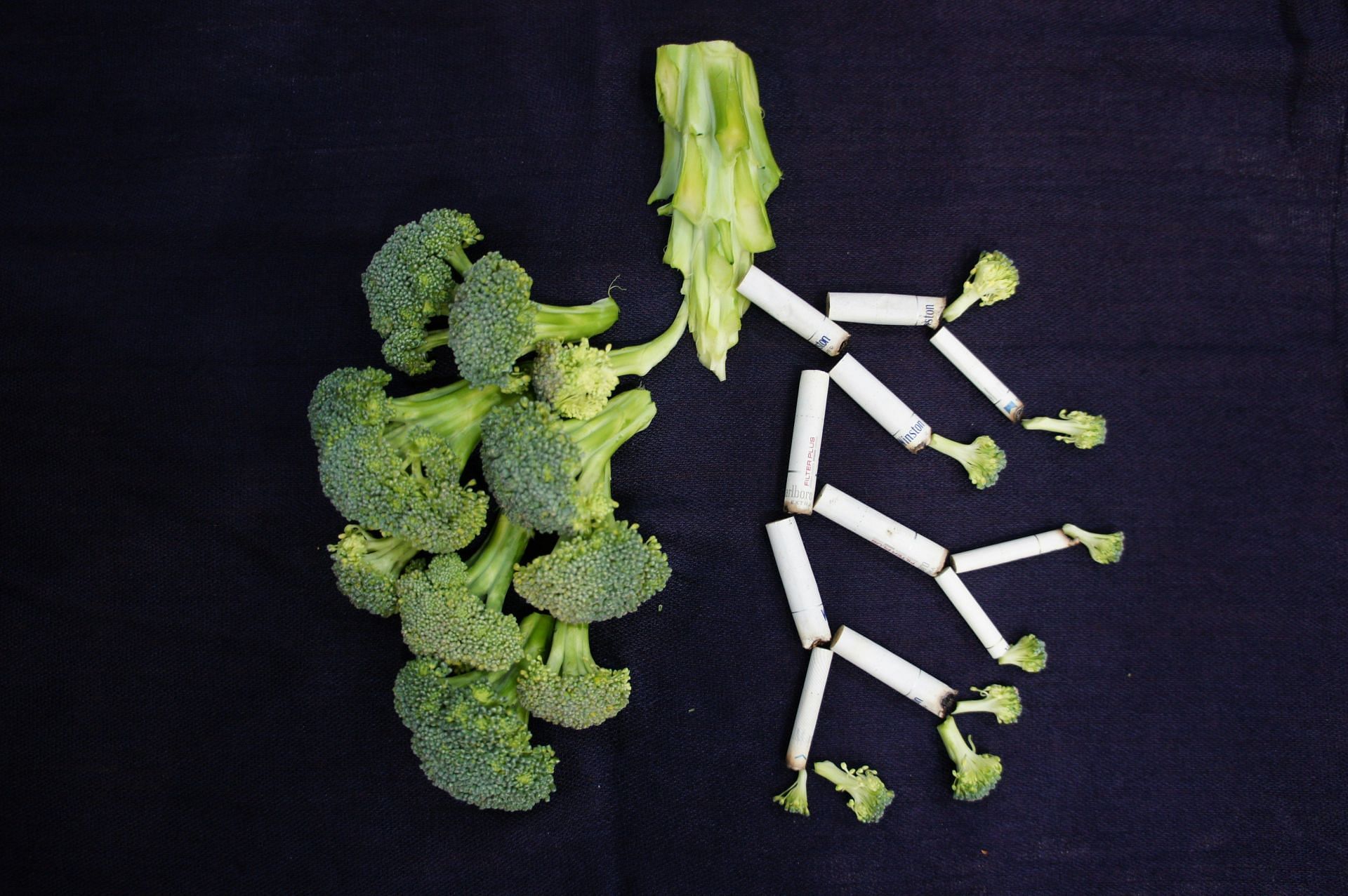 Eating green vegetables for lung detox (Image by Sara Bakhshi/Unsplash)
