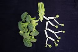 Want to do a lung detox? Here are 7 ways to clean your lungs
