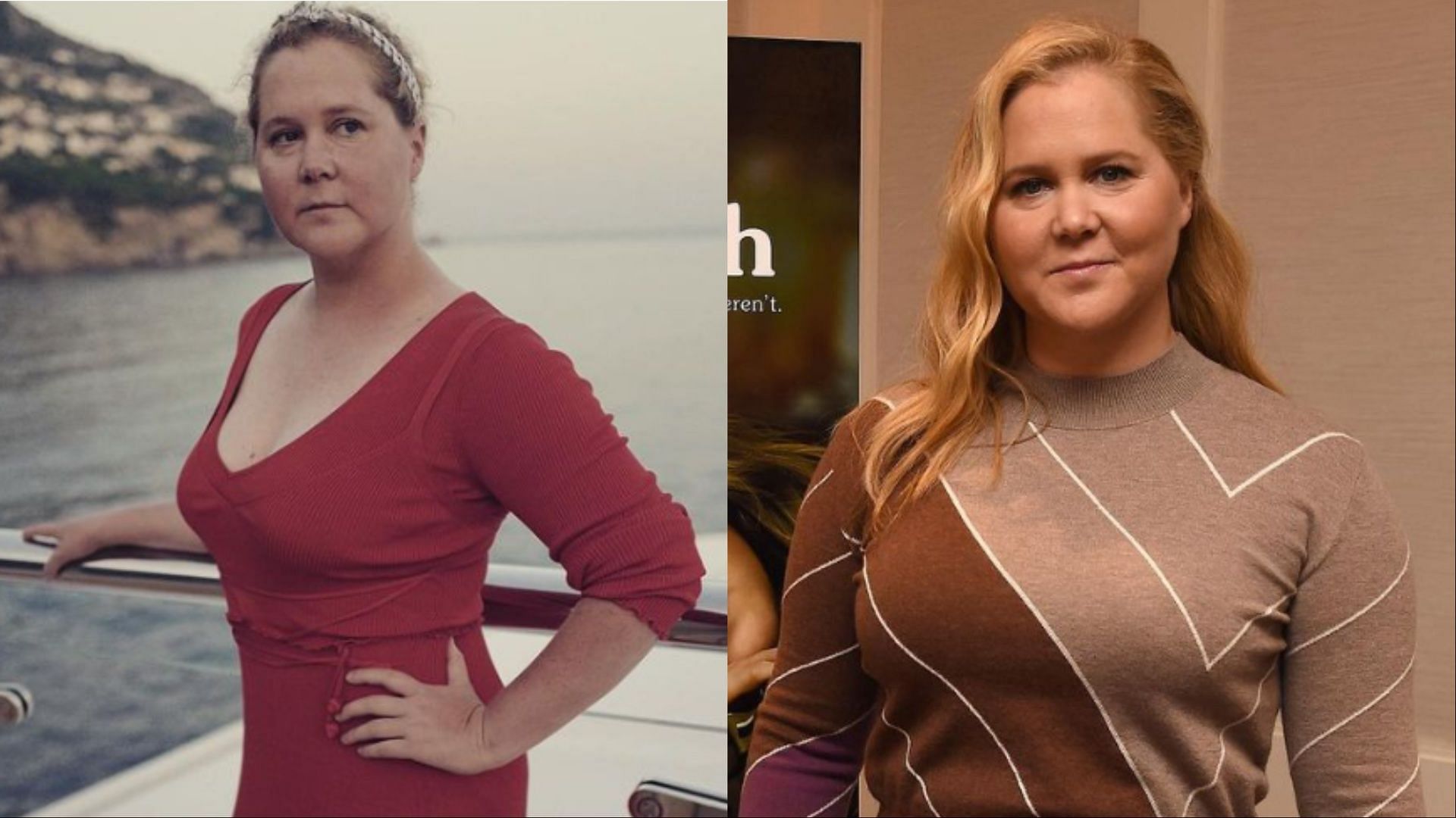 Amy Schumer shares exogenous Cushing syndrome diagnosis in recent interview (Image via amyschumer/Instagram)