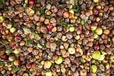 7 easy ways to make the most out of food scraps