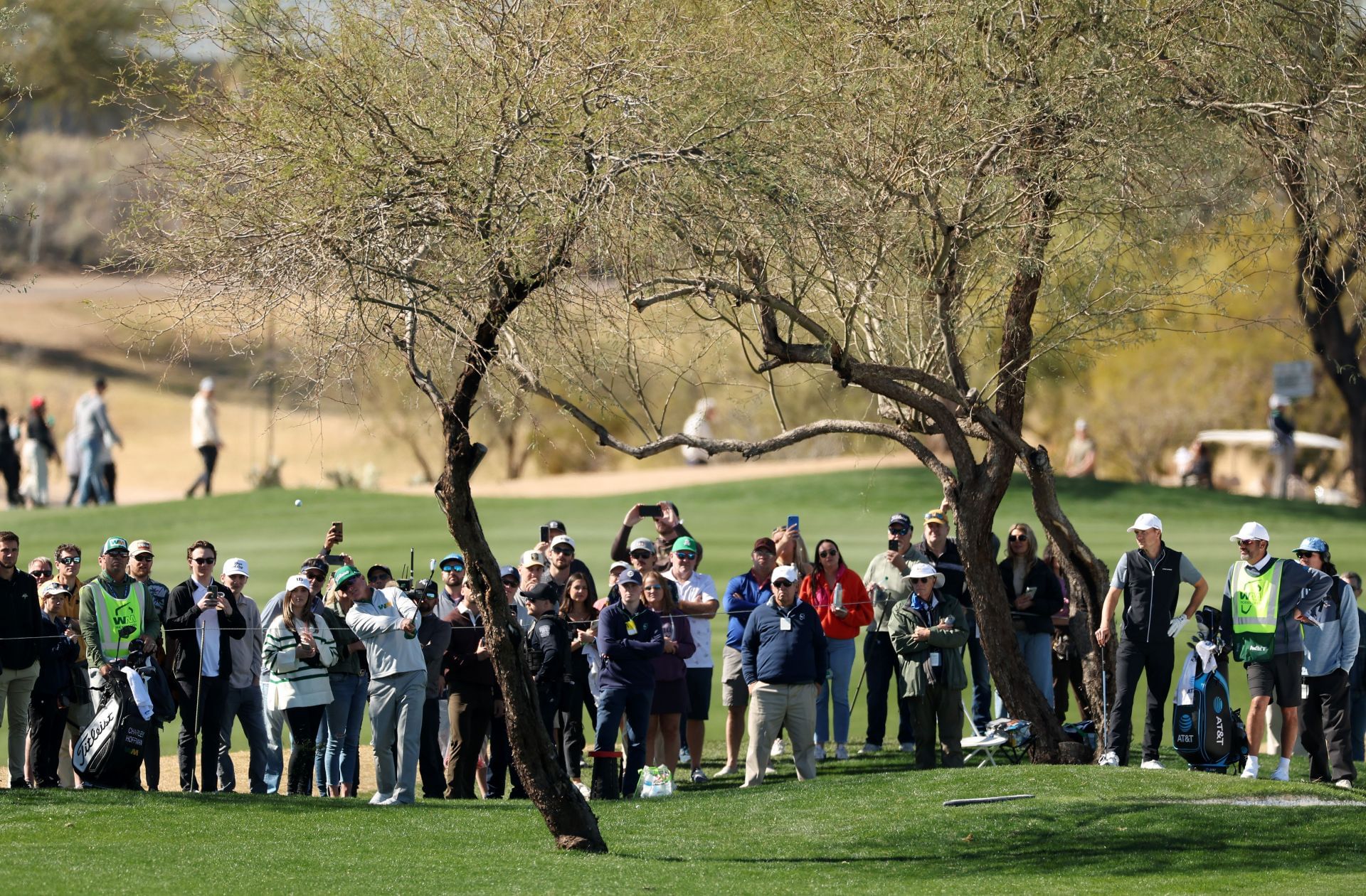 Fans made a difference in Phoenix