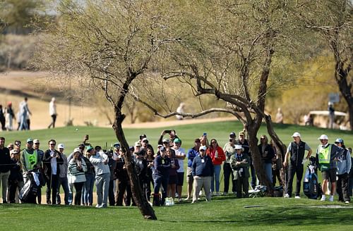 Fans made a difference in Phoenix