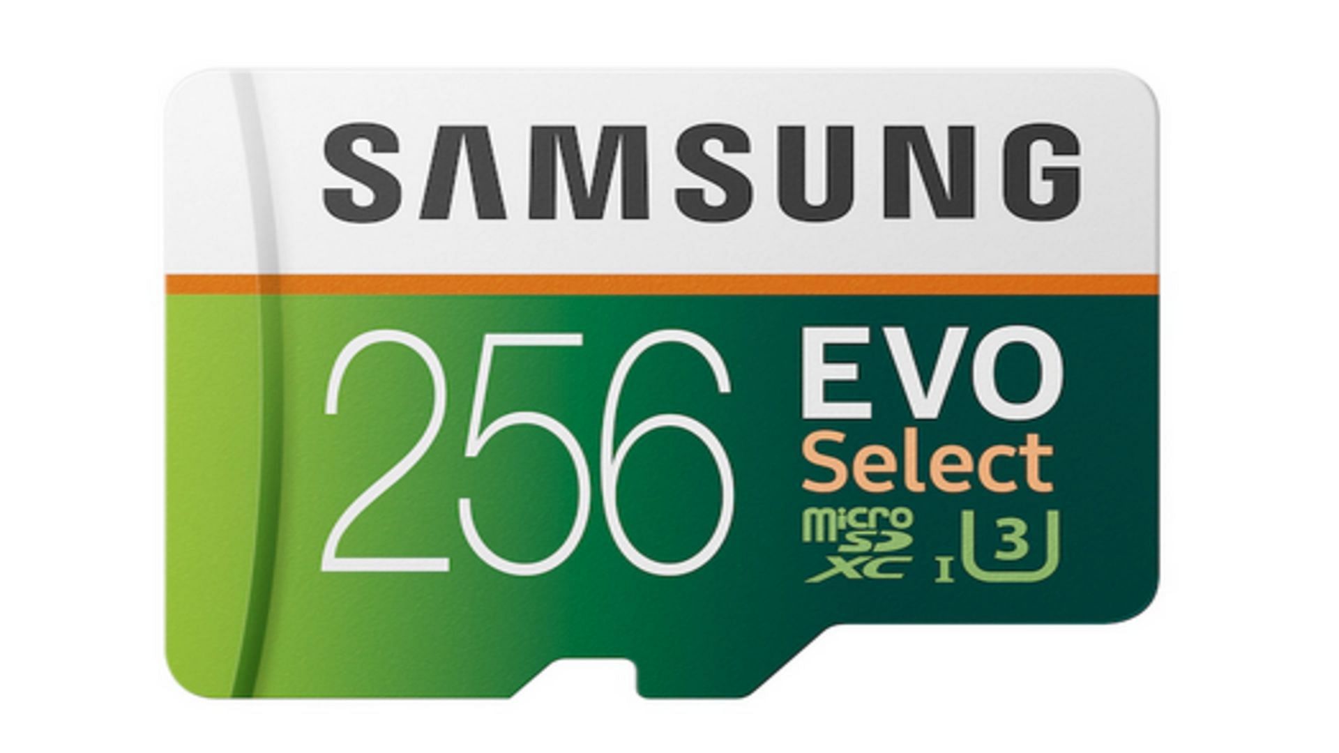 Sam͏sung EVO Sele͏ct͏ 256 GB microSD SDXC (Image via Samsung)