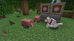 Minecraft 1.20.5 snapshot 24w06a patch notes: New wind charge item, final armadillo tweaks, hopper optimizations, and more