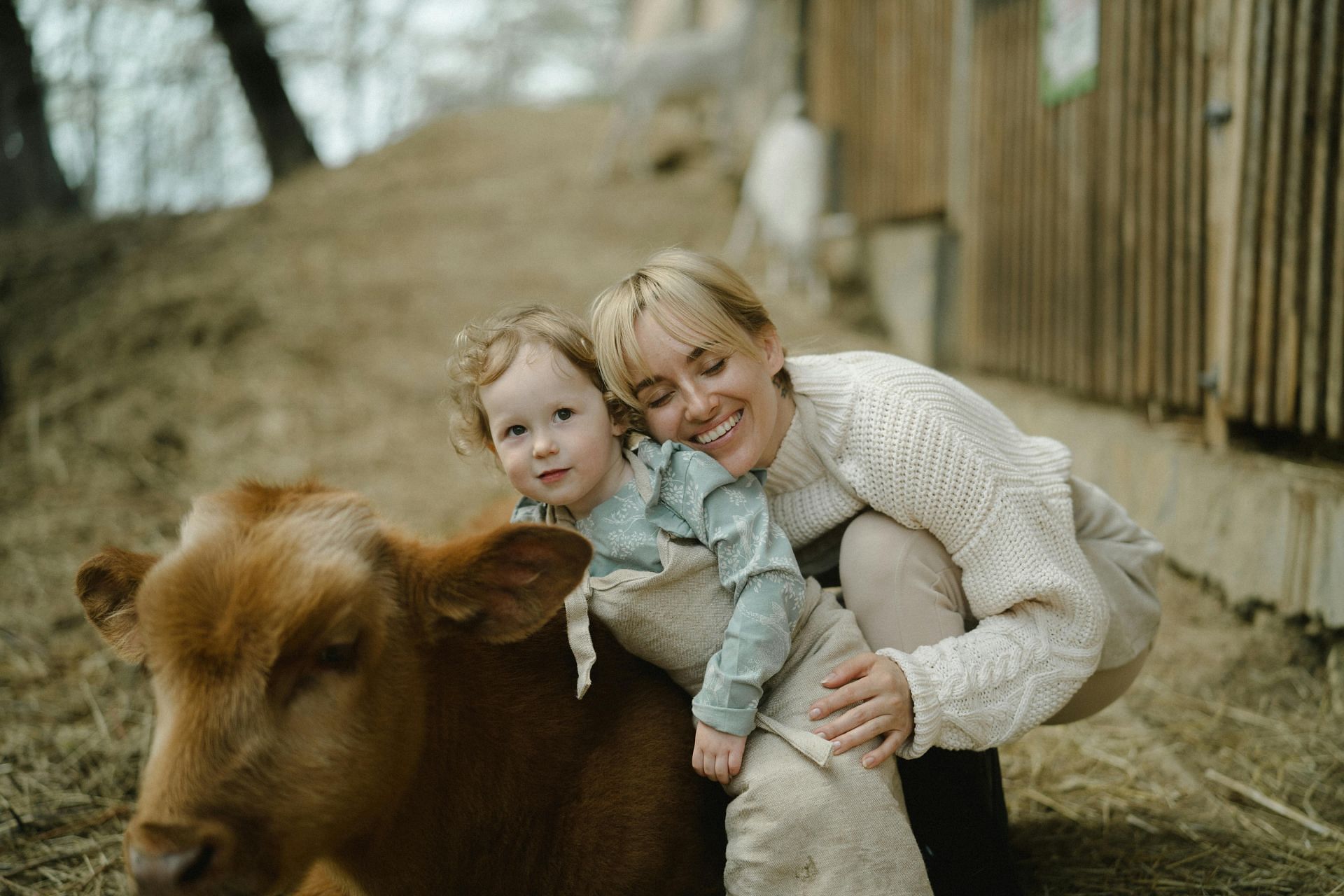 What are the therapeutic benefits of cow cuddling? (Image via Pexels/ Anastasia Shuraeva)