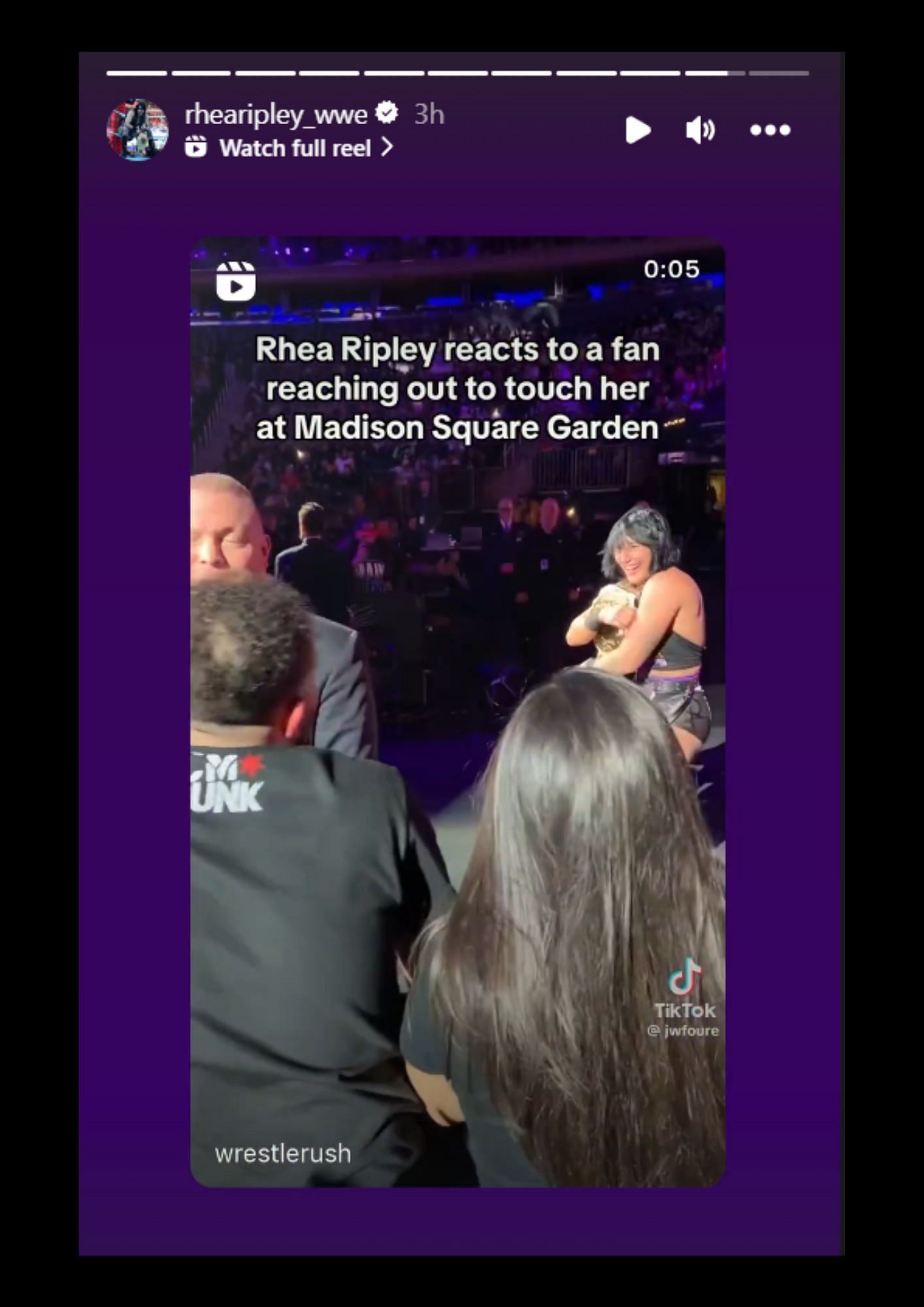 Rhea Ripley's Instagram story