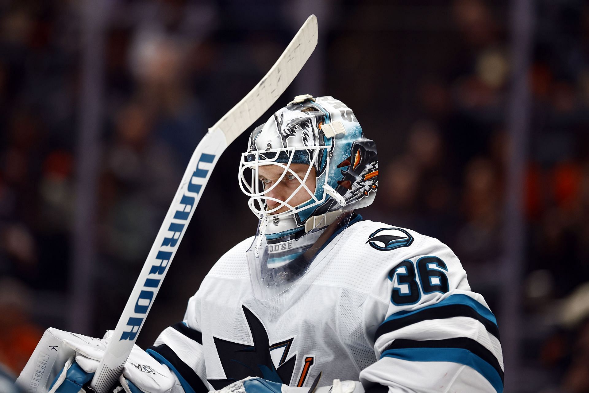 San Jose Sharks - Kaapo Kahkonen