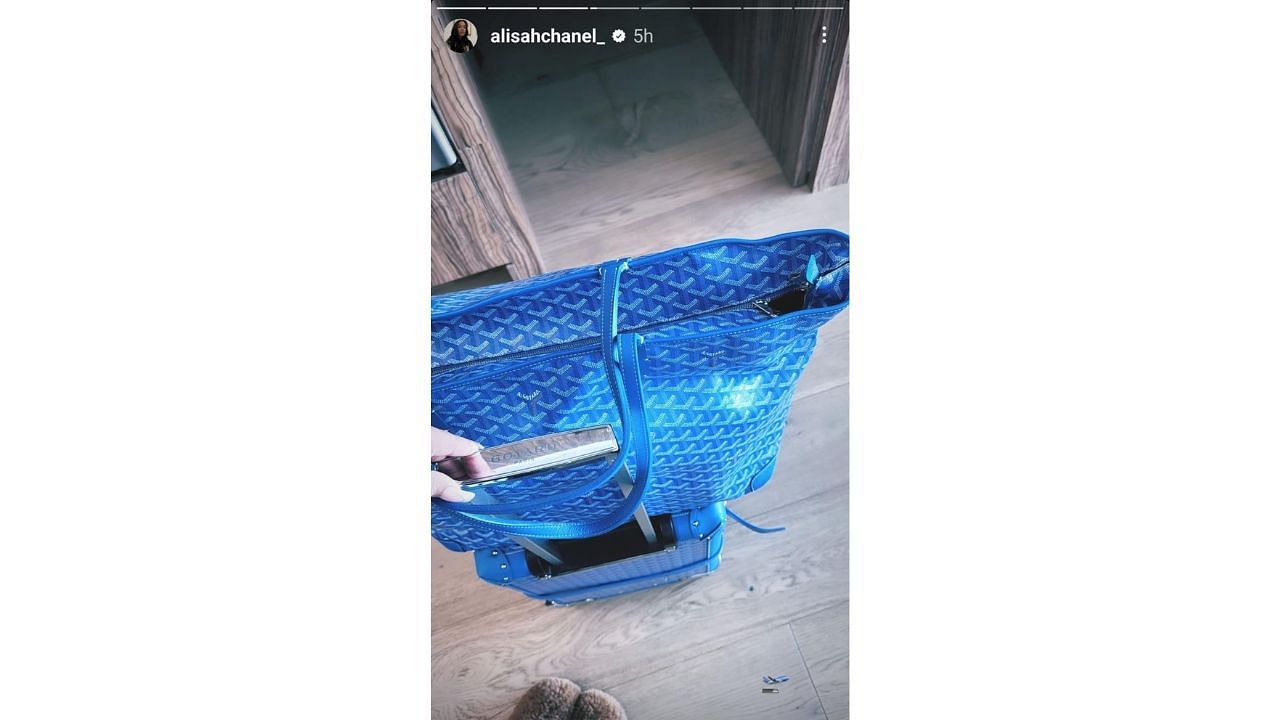 Alisah Chanel&#039;s new bag was a Belvedere blue priced just over $2,500