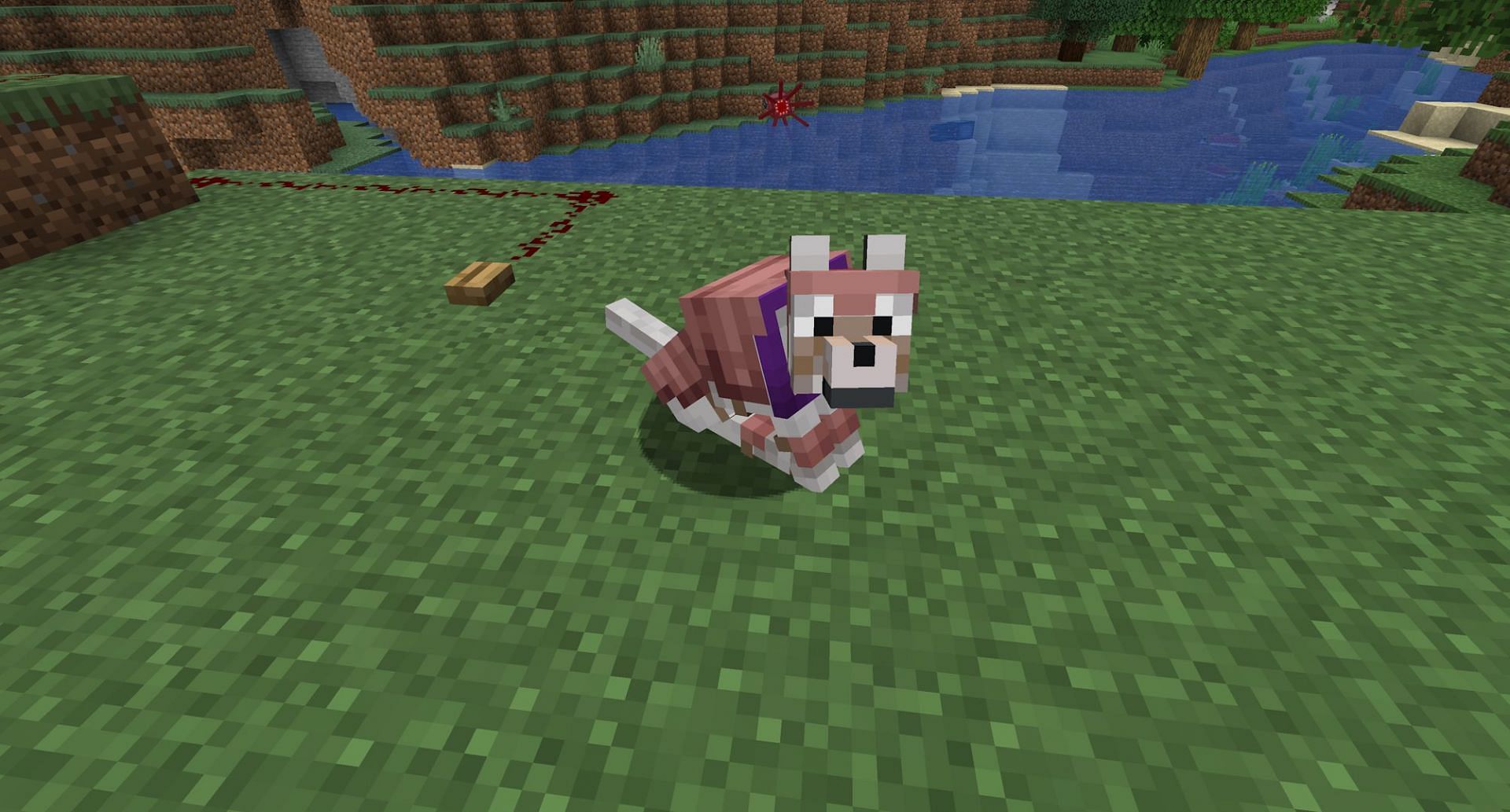 A wolf in armor (Image via Mojang)