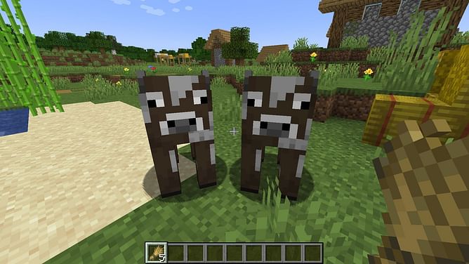 "This is so funny": Minecraft player shares hilarious discussion about inbreeding cows