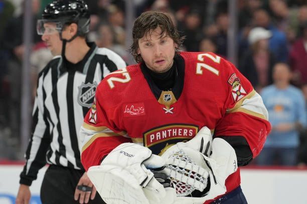 Sergei Bobrovsky’s House- Location, Address, Images, Price