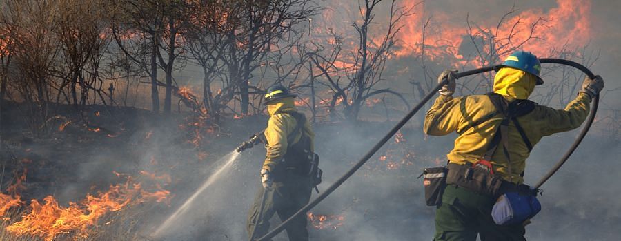 Social media users left concerned as Texas wildfire becomes unstoppable. (Image via Texas A&amp;M Forest Services)