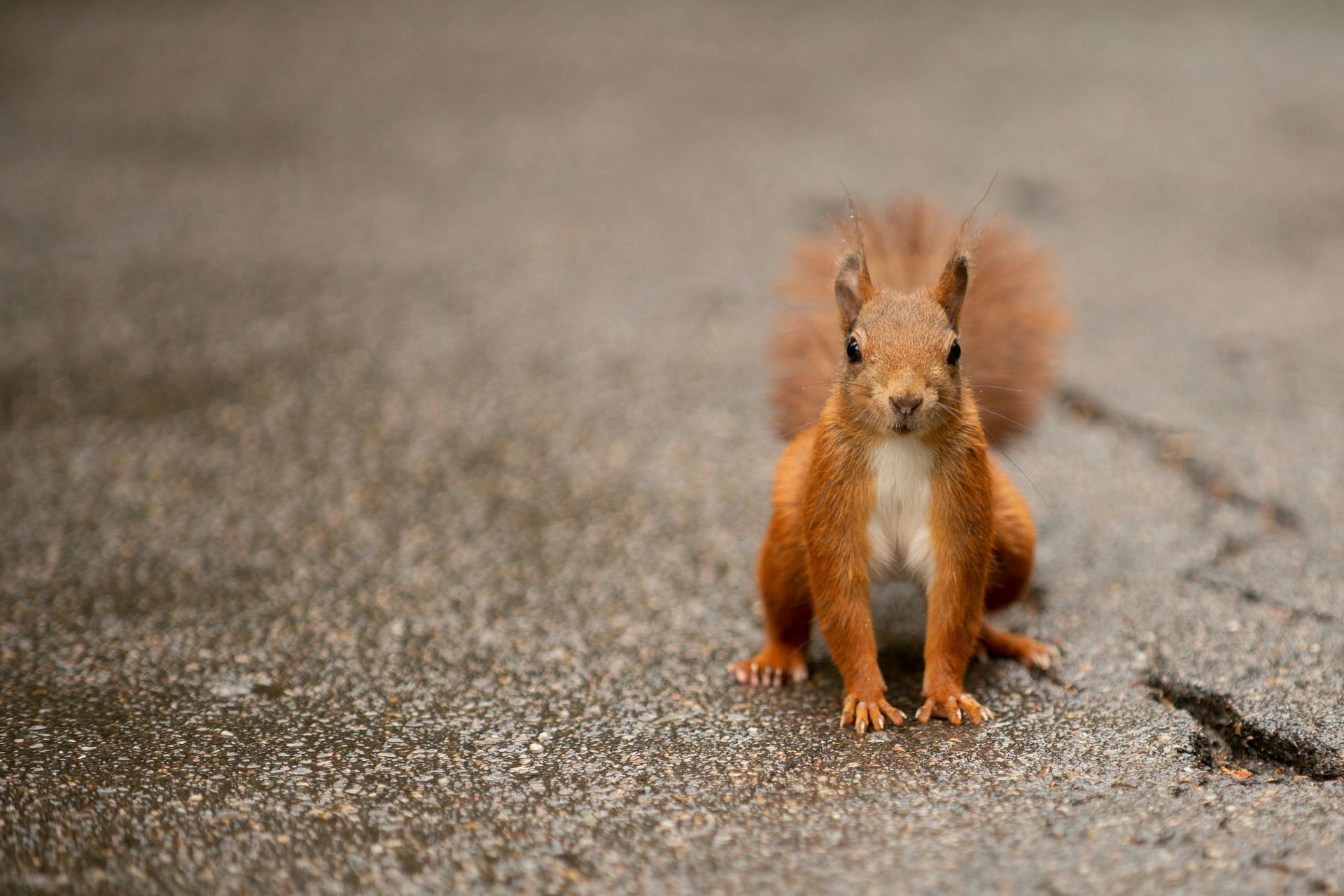 Health officials have advised to follow preventive tips. (Image via Unsplash/ Peter Neumann)