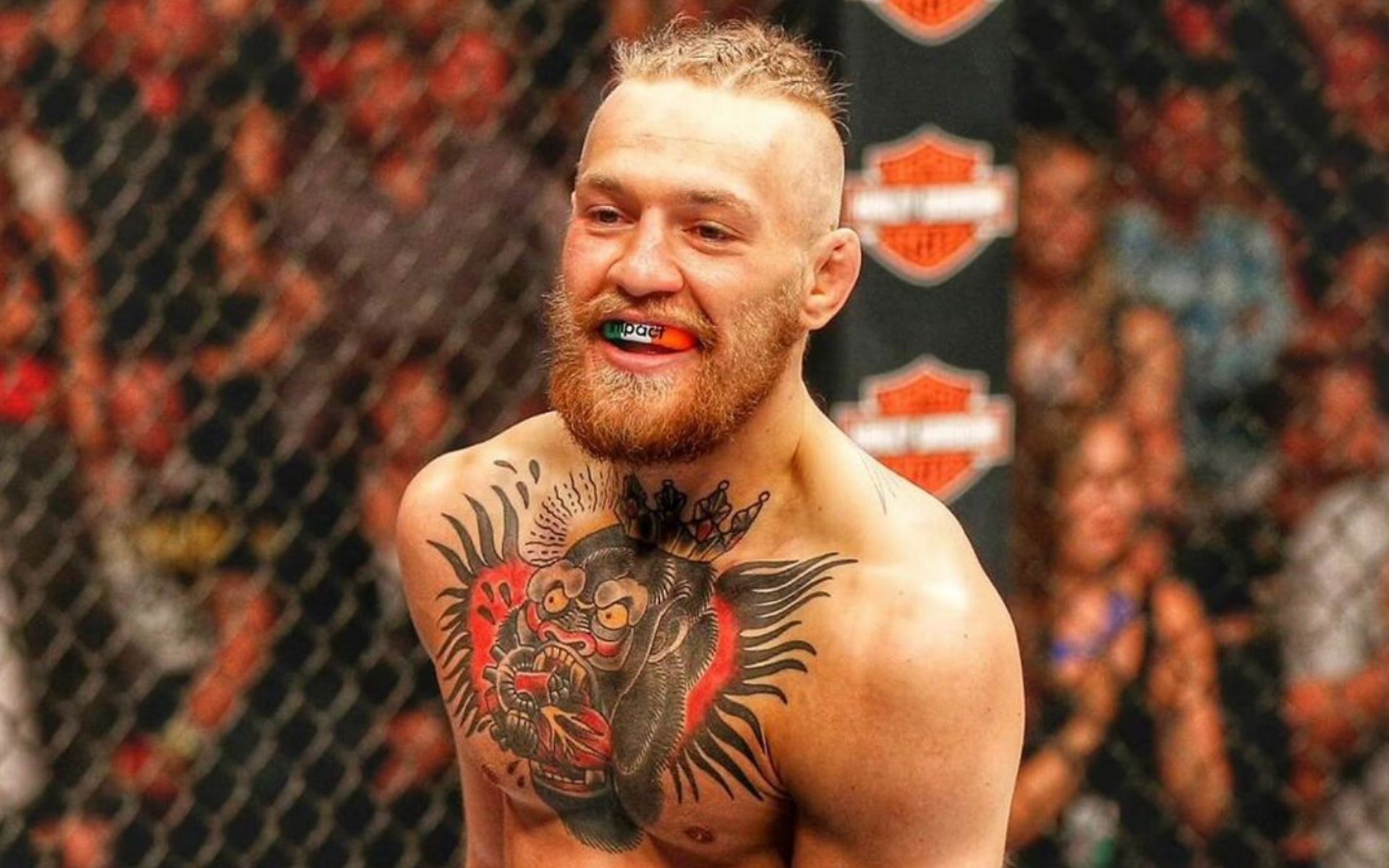 Conor McGregor as a UFC featherweight in 2014 [Photo Courtesy @thenotoriousmma on Instagram]