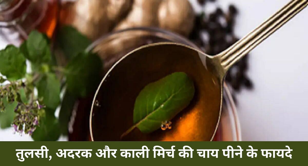 तुलसी, अदरक और काली मिर्च की चाय पीने के फायदे(फोटो-Sportskeeda hindi)