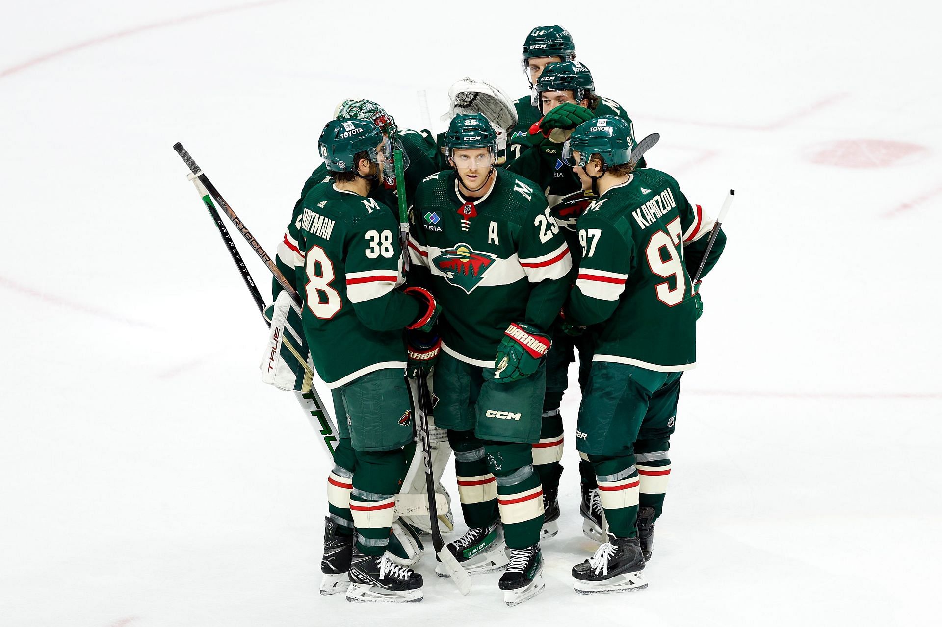 Minnesota Wild