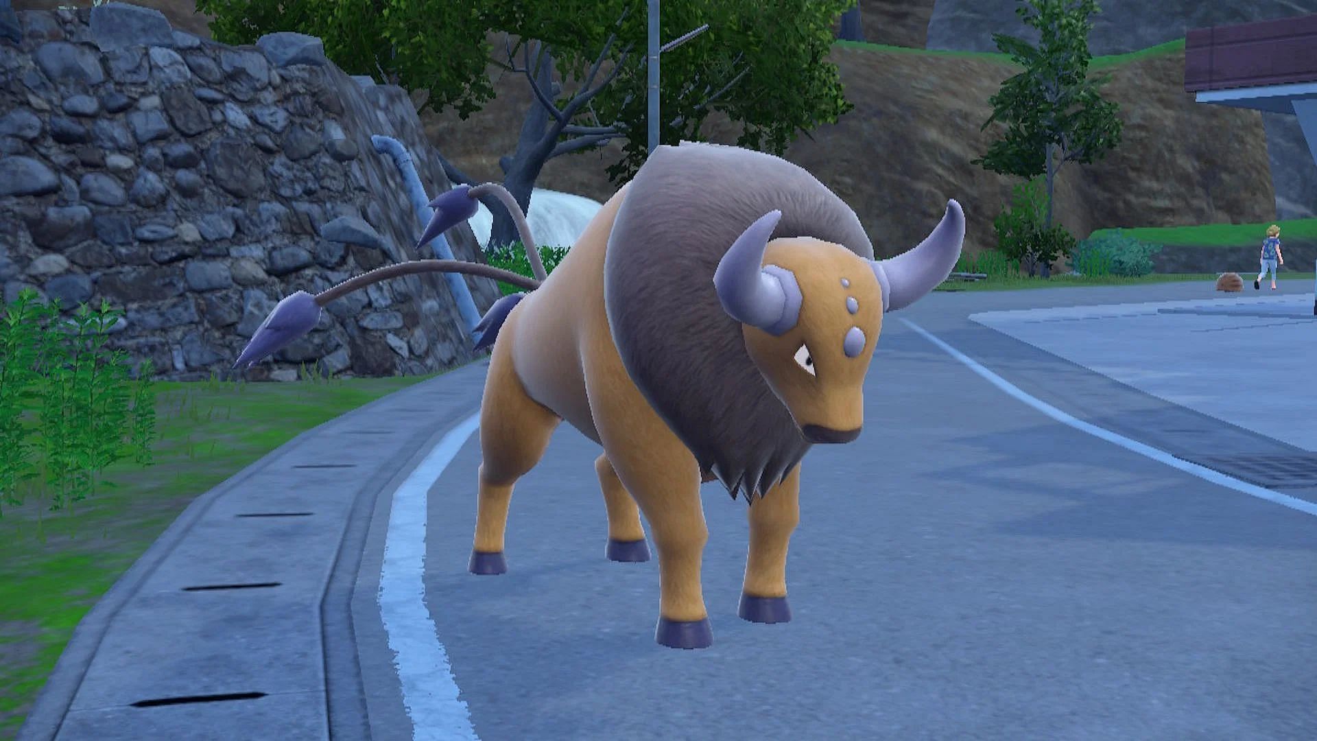 Tauros from the main series game (Image via TPC)