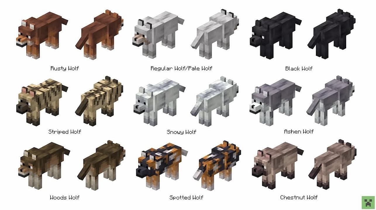 New wolf variants in Minecraft Bedrock 1.20.80.21 (Image via Mojang Studios)