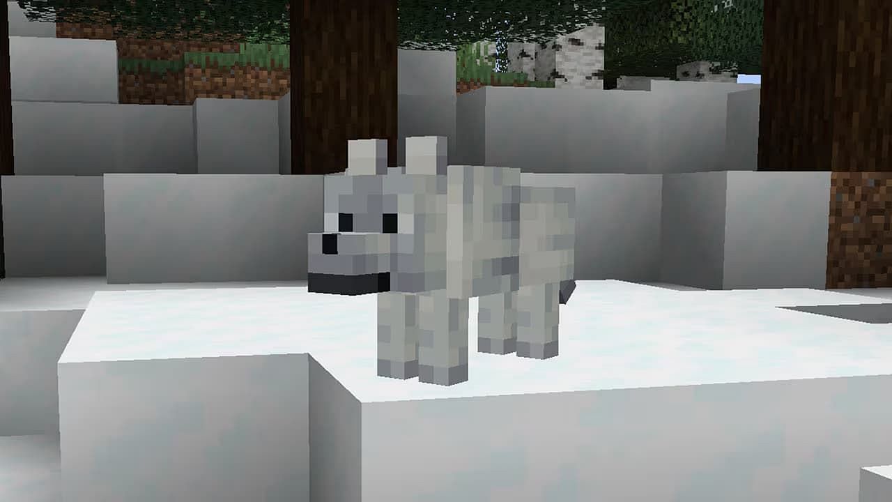 Snowy wolf (Image via Mojang)