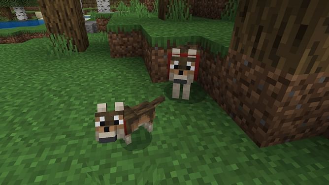 5 best features and changes in Minecraft Bedrock 1.20.80.21 beta and preview