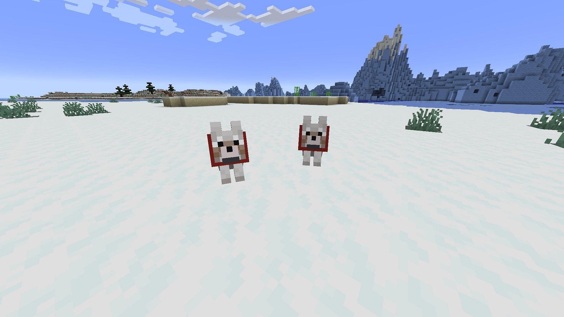 Wolves can be a huge help in combat for Minecraft&#039;s Hardcore Mode (Image via Mojang)