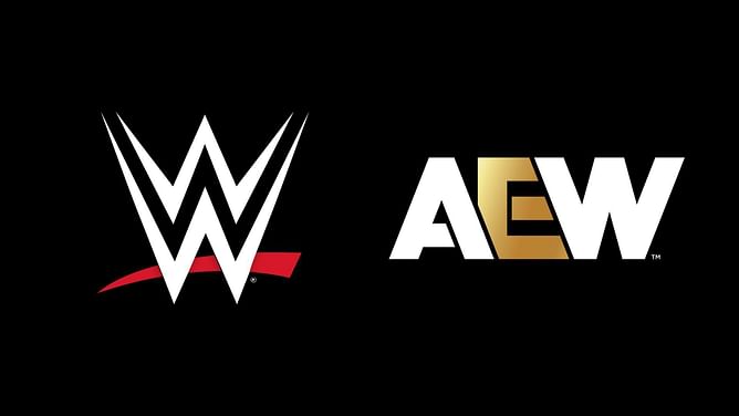 WWE Hall of Famer says he possibly had his final match in AEW