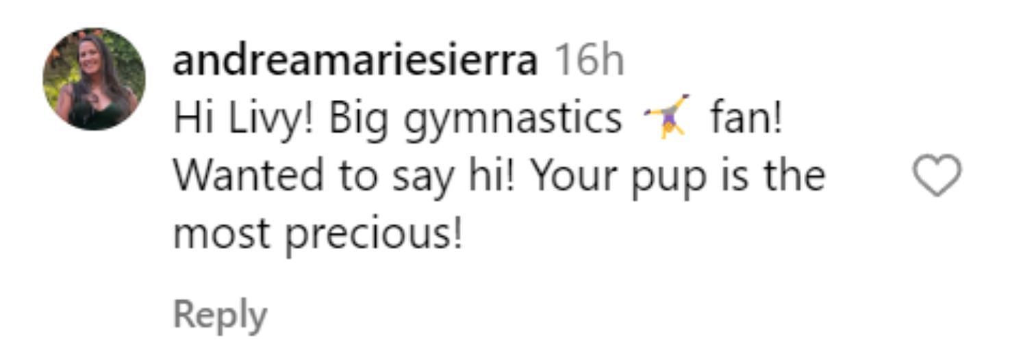 "Hi Livy! Big gymnastics fan! Wanted to say hi! Your pup is the most precious! - @andreamariesierra