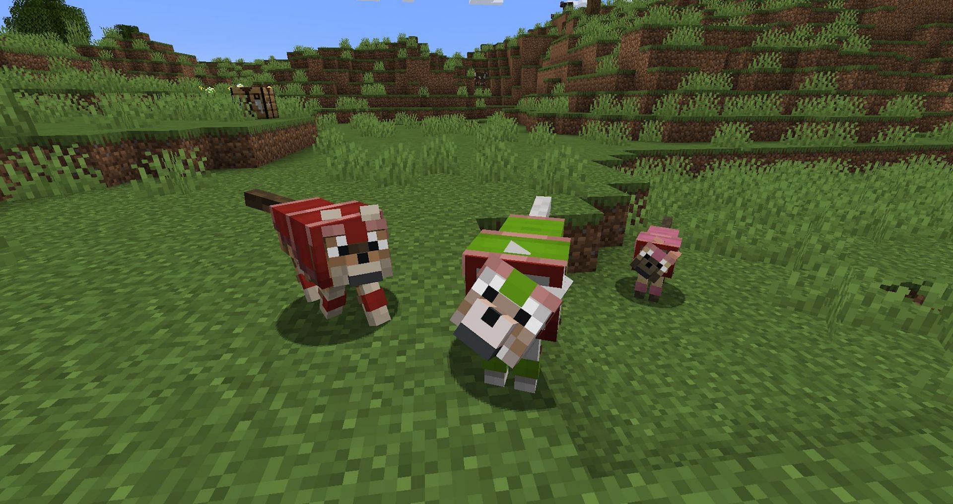 A group of tamed wolves with dyed armor. (Image via Mojang)