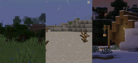 How much do you know about Minecraft Biomes ? image