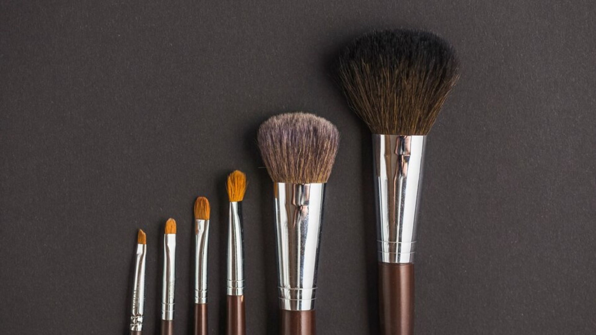 What are the different types of makeup brushes? How to use each kind for different products