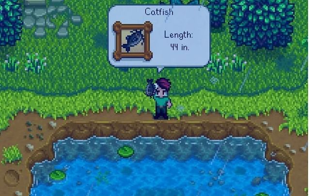 How to get Catfish in Stardew Valley