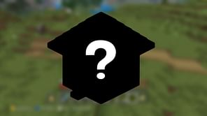 "This is the ENTIRE village": Minecraft player discovers weird village with no houses