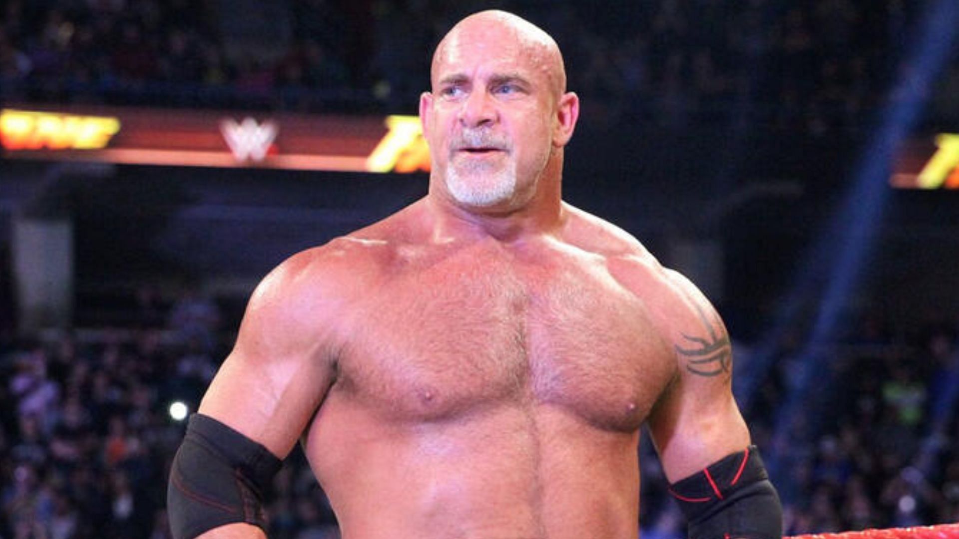 Goldberg is a three-time world champion and Hall of Famer in WWE.