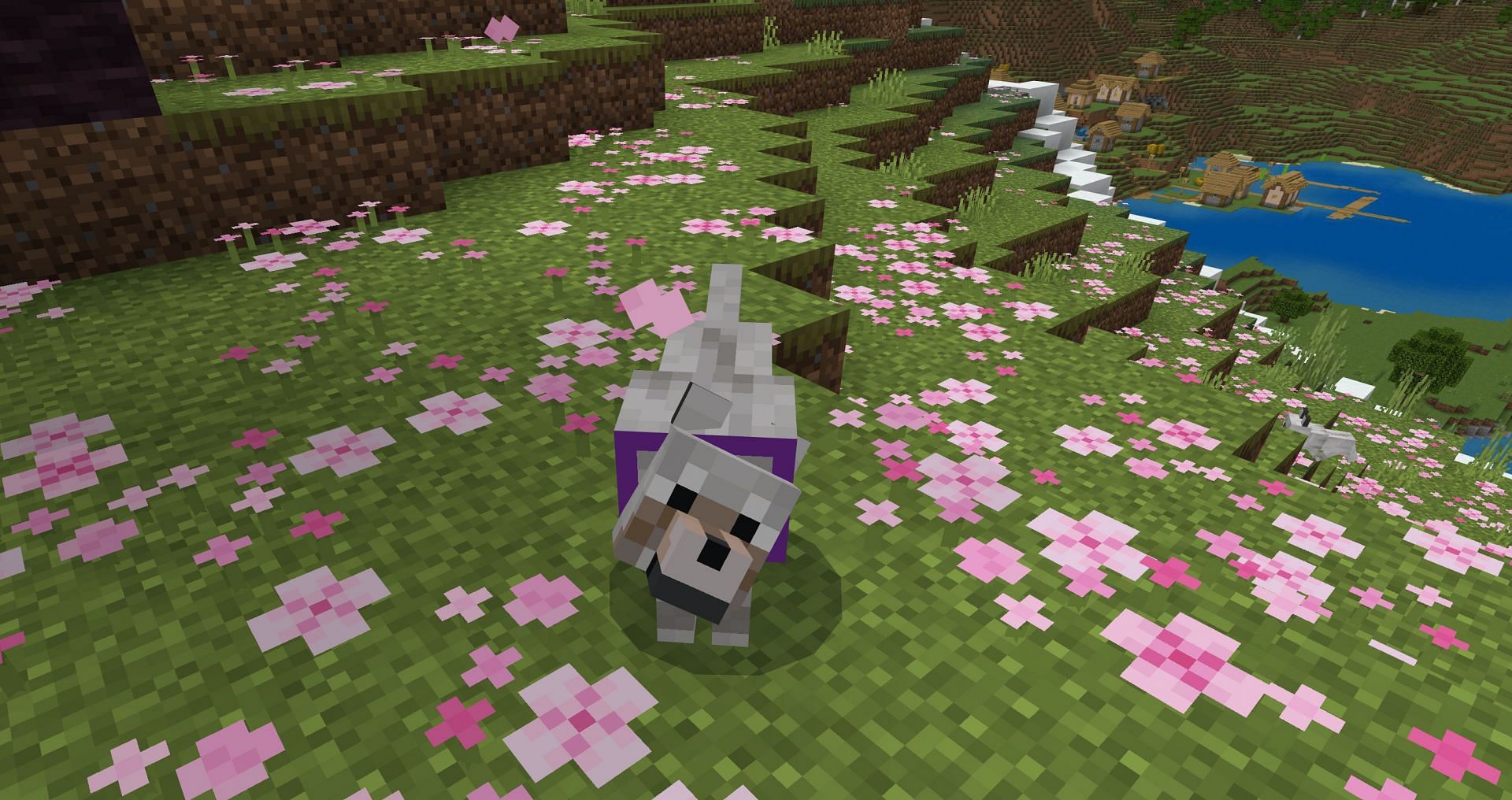 Collars are one of the only ways to personalize a wolf right now (Image via Mojang)