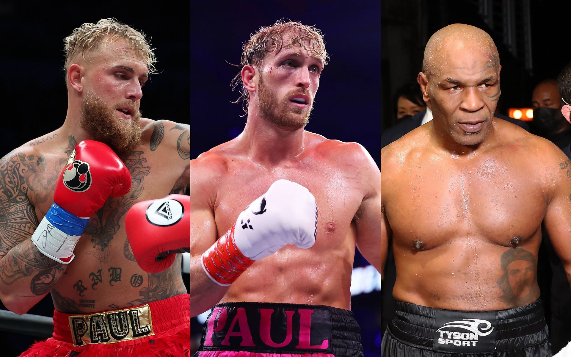 Jake Paul (left) and Logan Paul (middle) have often claimed to be ardent fans of Mike Tyson (right) [Images courtesy: Getty Images]