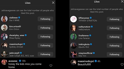 Screengrab of reactions to Zelina Vega's Instagram post.