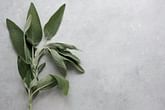 What is a sage herb? Everything you need to know