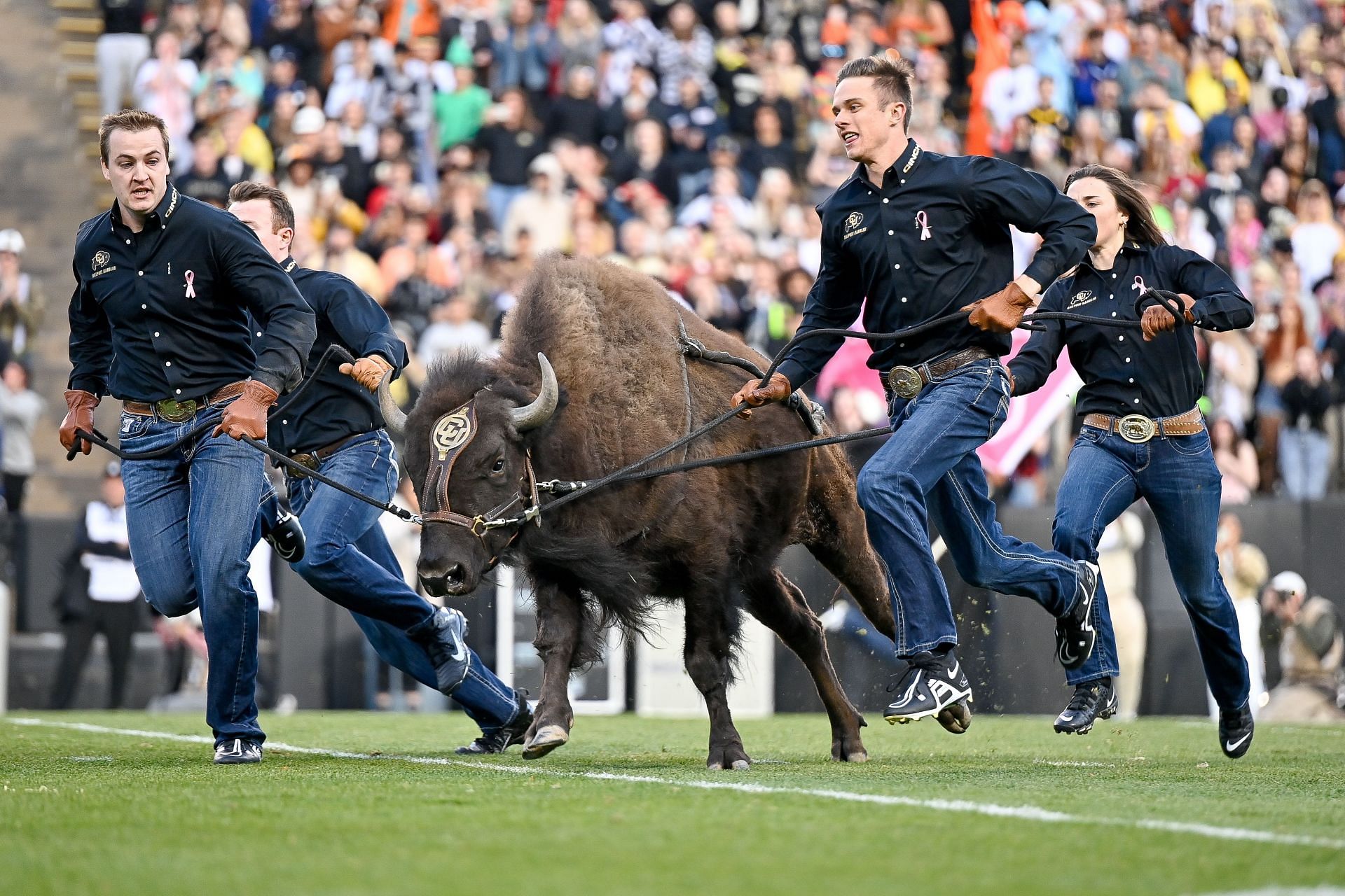 Colorado mascot Ralphie the Buffalo might be more popular than Coach Prime.