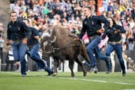 Colorado mascot Ralphie the Buffalo might be more popular than Coach Prime.