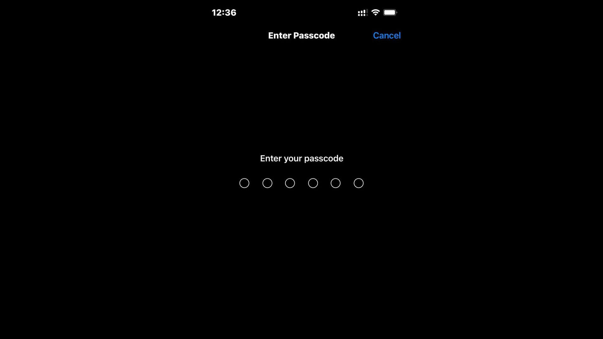 Enter your passcode to start the installation (Image via Apple)