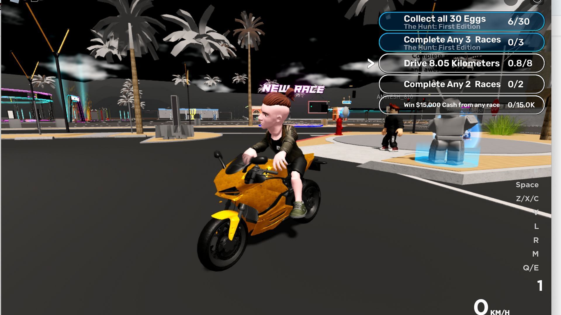 Racing in the game (Image via Roblox)