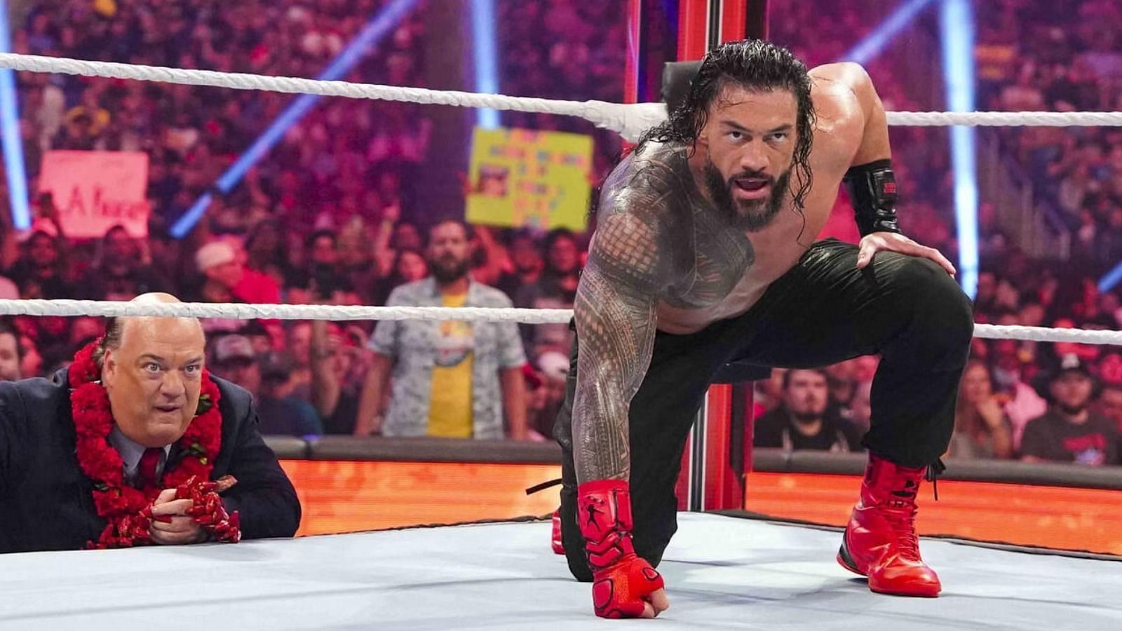 रोमन रेंस इस समय WWE के सबसे बड़े स्टार्स में से एक हैं 