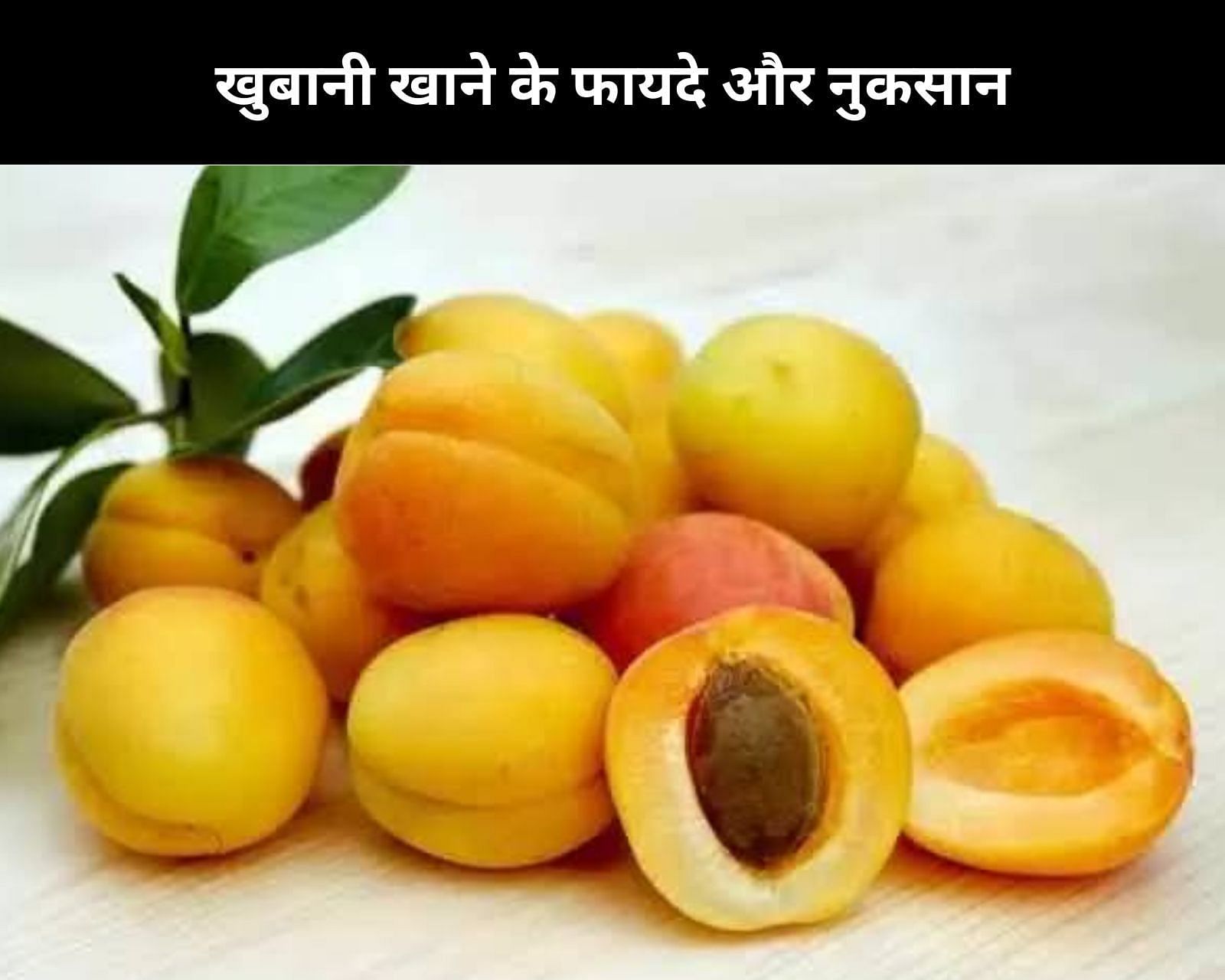 Apricot fruit on sale in hindi