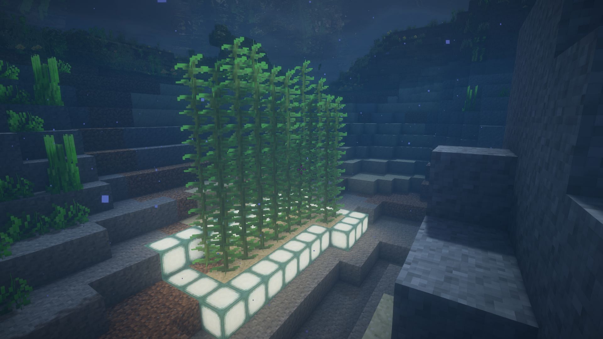 Kelp might be common, but its also the smallest source of XP in the game (Image via Mojang)