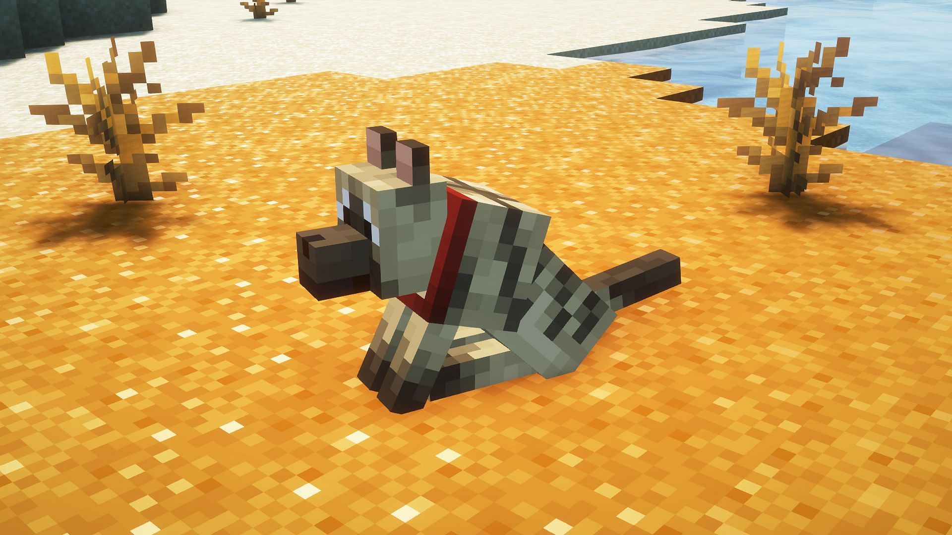 Striped wolf in the game (Image via Mojang)